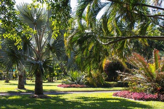 Queens Gardens Townsville
